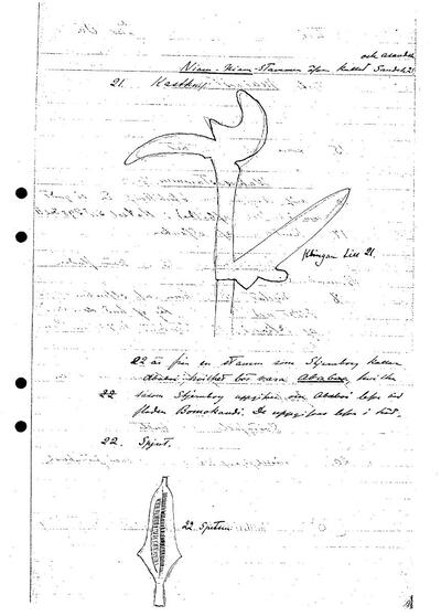 europeana