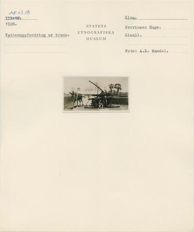 europeana