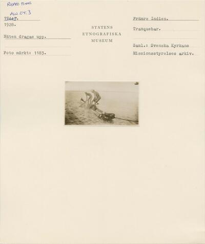 europeana