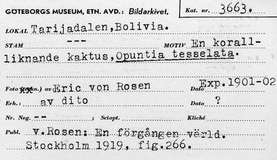 europeana