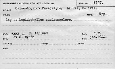 europeana