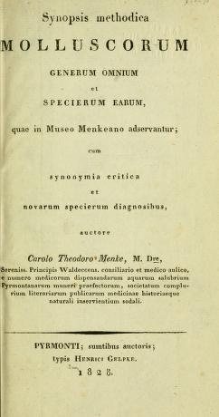 Synopsis methodica molluscorum generum omnium et specierum earum, quae in Museo Mankeano adservantur : cum synonymia critica et novarum specierum diagnosibus / auctore Carolo Theodoro Menke.