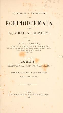 Catalogue of the Echinodermata in the Australian museum.