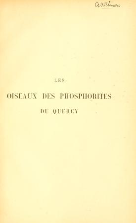 Les oiseaux des phosphorites du Quercy