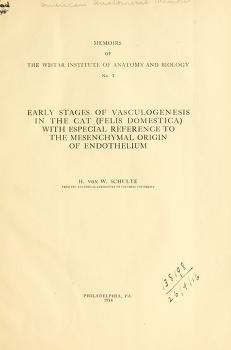 Early stages of vasculogenesis in the cat (Felis domestica) with especial reference to the mesenschymal origin of endothelium
