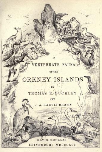A vertebrate fauna of the Orkney IslandsFauna of the Orkney Islands