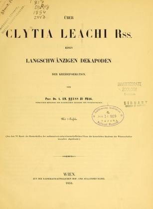 Über Clytia leachi Rss., einen langschwänzigen Dekapoden der Kreideformation