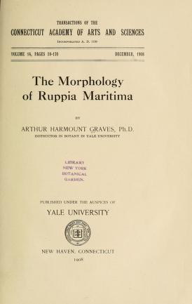The morphology of Ruppia maritima.