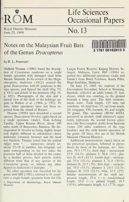 Notes on the Malaysian fruit bats of the genus Dyacopterus