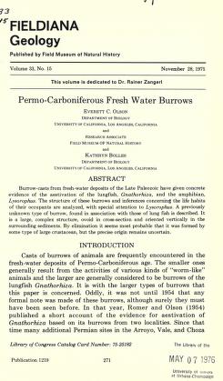 Permo-Carboniferous fresh water burrowsPaleozoic burrows