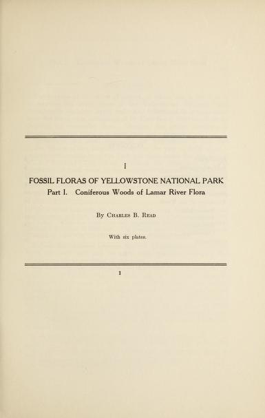 Fossil floras of Yellowstone National Park.Coniferous woods of Lamar River floraLamar River flora