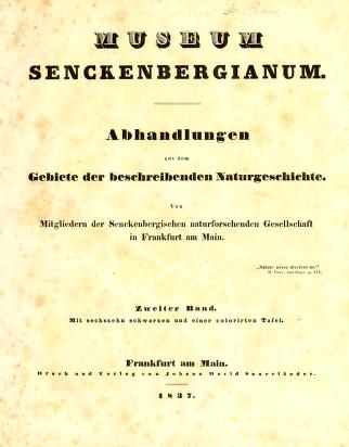 Museum Senckenbergianum : Abhandlungen aus dem Gebiete der beschreibenden NaturgeschichteMus. Senck. (Abh.)Abhandlungen aus dem Gebiete der beschreibenden Naturgeschichte