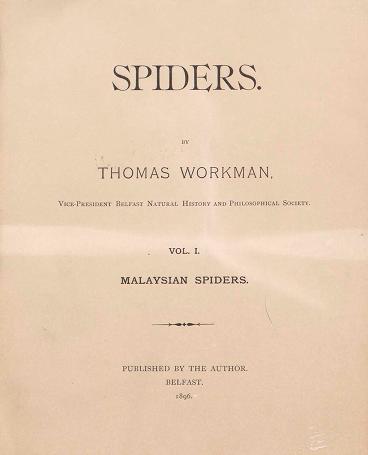 Malaysian spiders