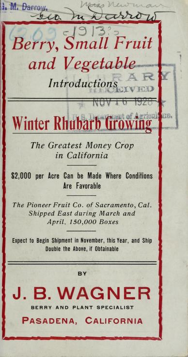 Berry, small fruit and vegetable introductions : winter rhubarb growing