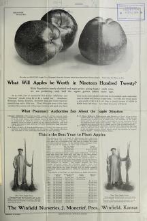 What will apples be worth in nineteen hundred twenty?