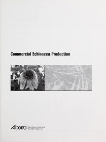 Commercial echinacea production