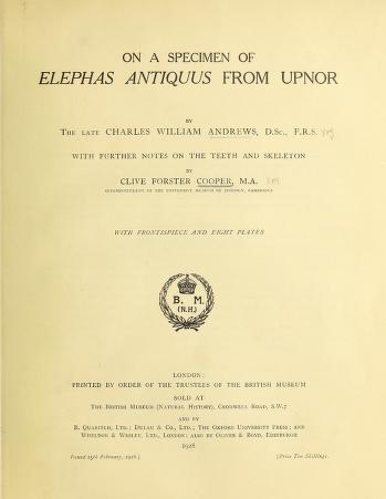 On a specimen of Elephas antiquus from Upnor