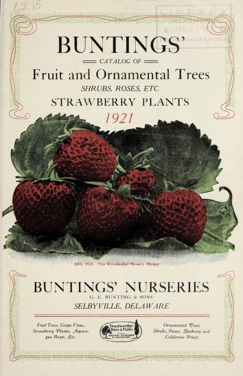 Buntings' catalog of fruit and ornamental trees, shrubs, roses, etc. : strawberry plants