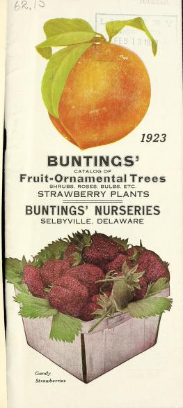 Buntings' catalog of fruit-ornamental trees, shrubs, roses, bulbs, etc., strawberry plants