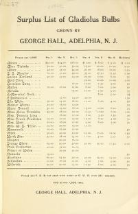 Surplus [price] list of gladiolus bulbs