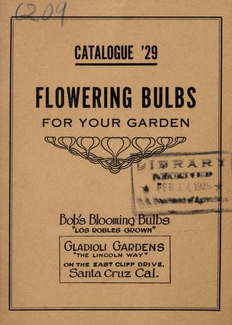 Catalogue '29 : flowering bulbs for your garden