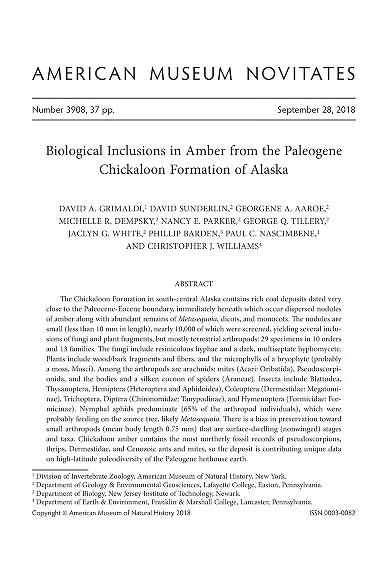 Biological inclusions in amber from the Paleogene Chickaloon Formation of AlaskaPaleogene biological inclusions in amber