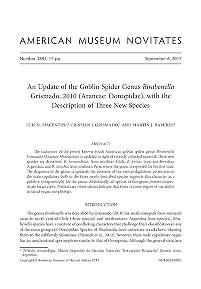 An update of the goblin spider genus Birabenella Grismado, 2010 (Araneae, Oonopidae), with the description of three new speciesOn the goblin spider genus Birabenella