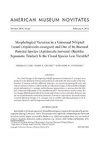 Morphological variation in a unisexual whiptail lizard (Aspidoscelis exsanguis) and one of its bisexual parental species (Aspidoscelis inornata) (Reptilia, Squamata, Teiidae) : is the clonal species less variable?
