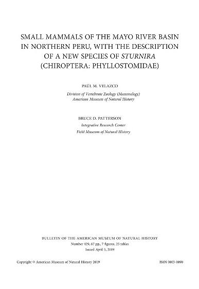 Small mammals of the Mayo River Basin in northern Peru, with the description of a new species of Sturnira (Chiroptera, Phyllostomidae)Small mammals of the Mayo River Basin, Peru