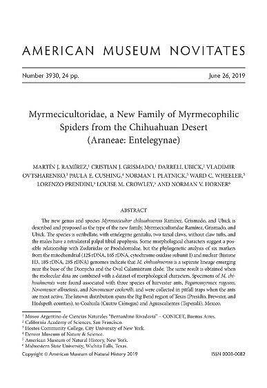Myrmecicultoridae, a new family of myrmecophilic spiders from the Chihuahuan Desert (Araneae, Entelegynae)New family of myrmecophilic spiders