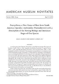 Psaenythisca, a new genus of bees from South America (Apoidea, Andrenidae, Protandrenini) with a description of the nesting biology and immature stages of one species