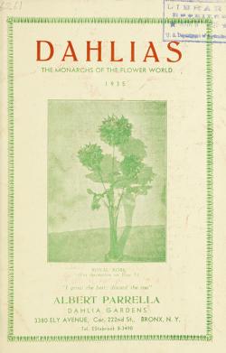 Dahlias, 1935, the monarchs of the flower world