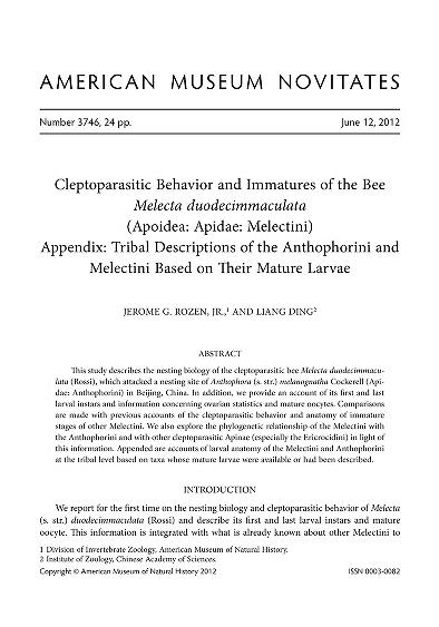 Cleptoparasitic behavior and immatures of the bee Melecta duodecimmaculata (Apoidea, Apidae, Melectini) ; Appendix, tribal descriptions of the Anthophorini and Melectini based on their mature larvaeMelecta duodecimmaculataTribal descriptions of the Anthophorini and Melectini based on their mature larvae