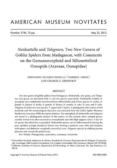 Noideattella and Tolegnaro, two new genera of goblin spiders from Madagascar, with comments on the gamasomorphoid and silhouettelloid oonopids (Araneae, Oonopidae)Noideattella and Tolegnaro from Madagascar