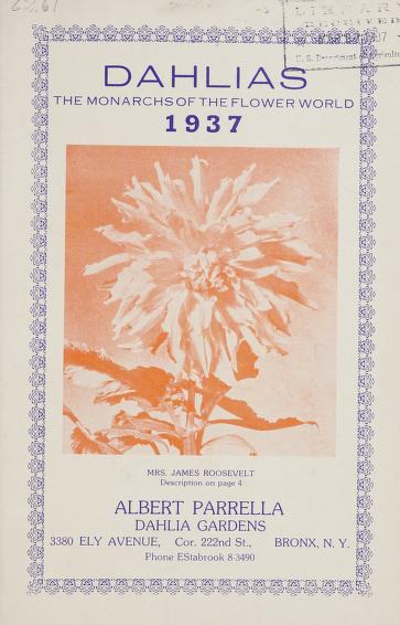 Dahlias, the monarchs of the flower world, 1937