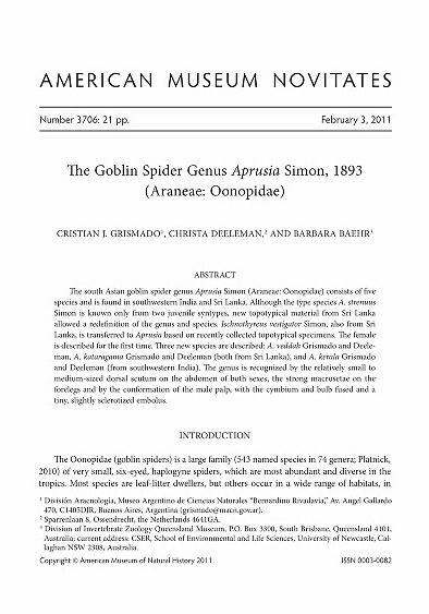 The goblin spider genus Aprusia Simon, 1893 (Araneae, Oonopidae)