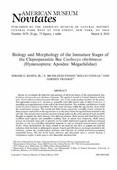 Biology and morphology of the immature stages of the cleptoparasitic bee Coelioxys chichimeca (Hymenoptera, Apoidea, Megachilidae)Biology of cleptoparasitic Coelioxys chichimeca