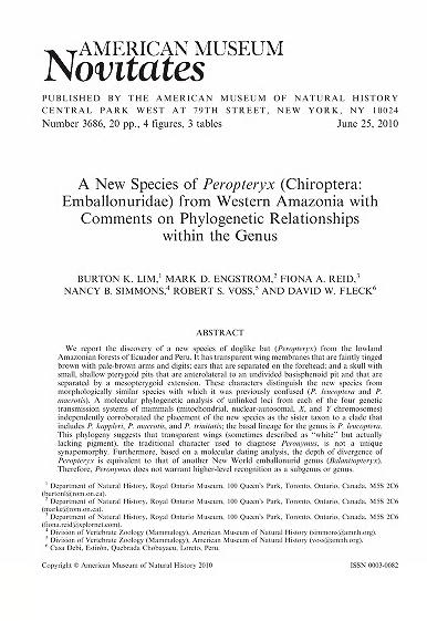 A new species of Peropteryx (Chiroptera, Emballonuridae) from western Amazonia with comments on phylogenetic relationships within the genus