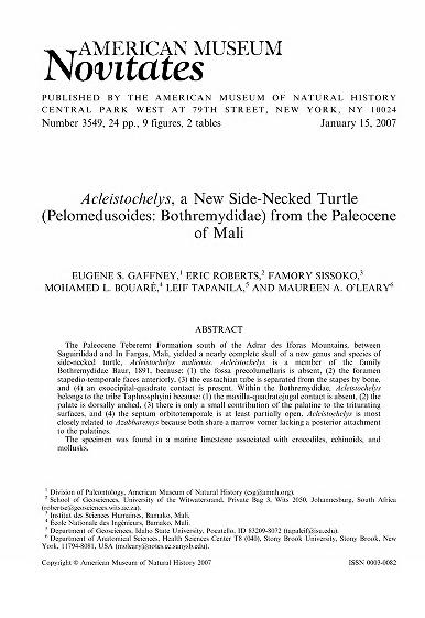 Acleistochelys, a new side-necked turtle (Pelomedusoides, Bothremydidae) from the Paleocene of MaliNew side-necked turtle (Pelomedusoides, Bothremydidae) from the Paleocene of MaliNew side-necked turtle from Mali