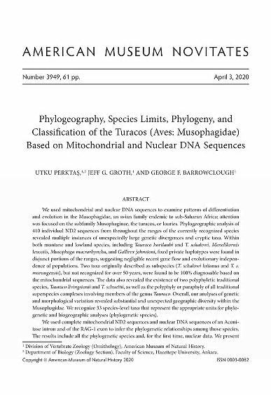 Phylogeography, species limits, phylogeny, and classification of the turacos (Aves, Musophagidae) based on mitochondrial and nuclear DNA sequencesPhylogeny of the turacos