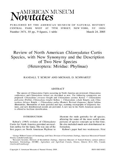 Review of North American Chlamydatus Curtis species, with new synonymy and the description of two new species (Heteroptera, Miridae, Phylinae)