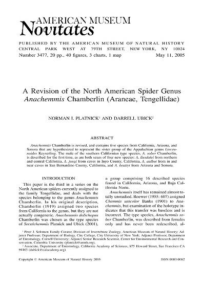 A revision of the North American spider genus Anachemnis Chamberlin (Araneae, Tengellidae)Revision of Anachemnis