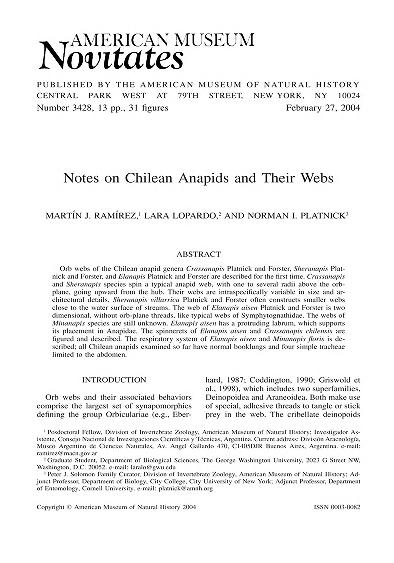 Notes on Chilean anapids and their websChilean anapids