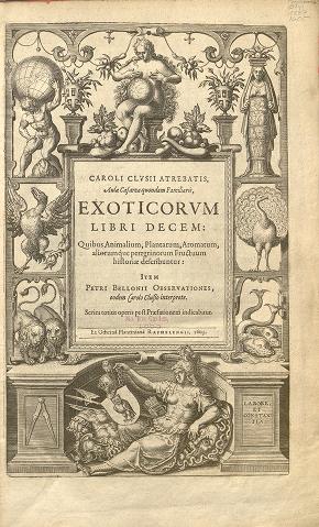 Caroli Clvsii Atrebatis ... Exoticorvm libri decem :quibus animalium, plantarum, aromatum, aliorum que peregrinorum fructuum historiae describuntur