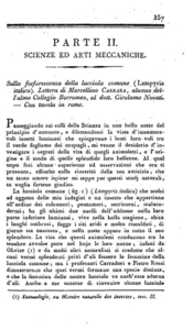 Sulla fosforescenza della lucciola comune, lettera inedita di M. Carrara: con tavola in rame