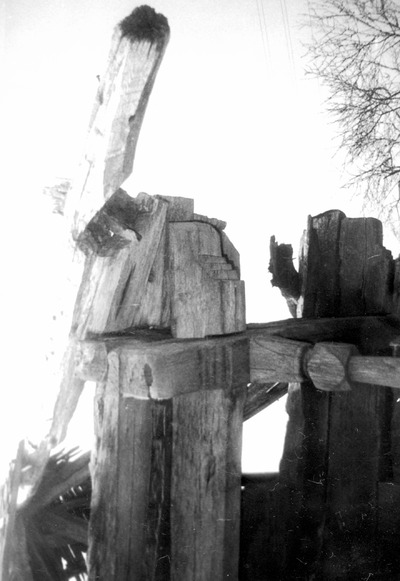 Pimniță părăsită de la hotarul satului Budieni, jud. Gorj (1993)