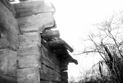 Pimniță părăsită de la hotarul satului Budieni, jud. Gorj (1993)
