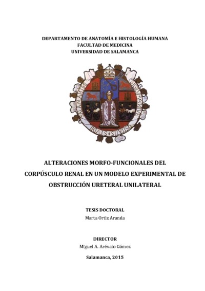 modelo de corpúsculo renal