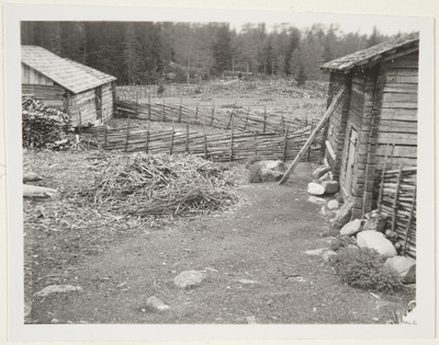 Rantalan sauna ja edessä puuläjä | Europeana