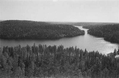 Suomalainen järvimaisema | Europeana